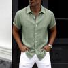 New summer men's plus size shirt teen solid color short-sleeved lapel shirt top men's