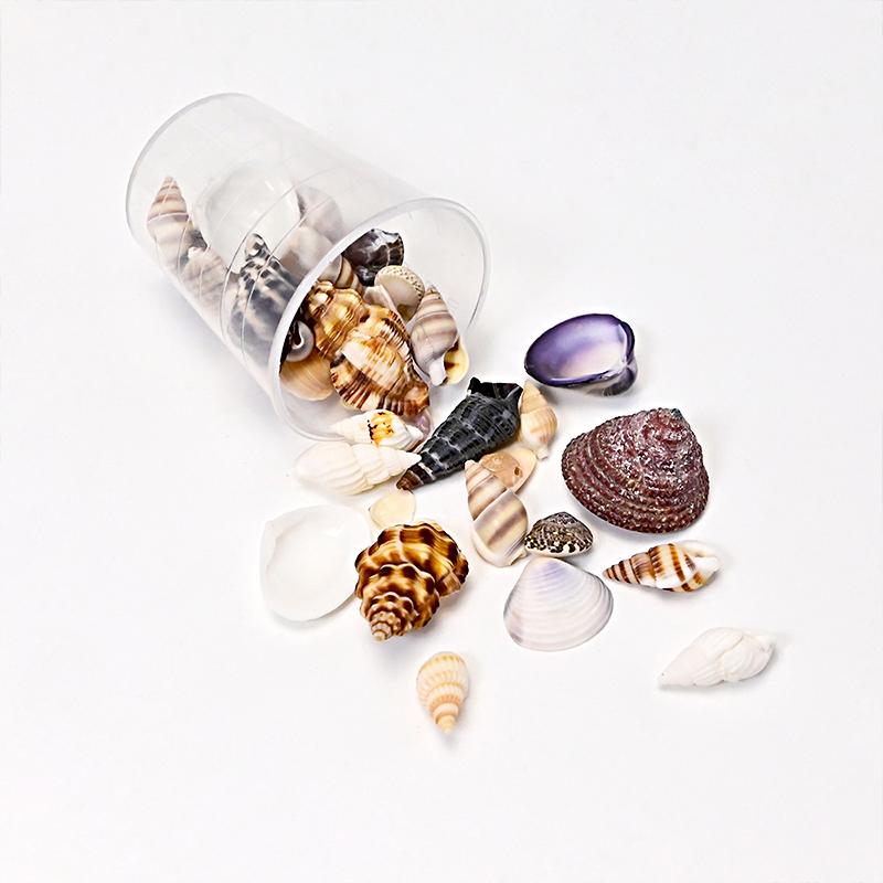 

1 Set DIY Accessories DIY Jewelry Materials Aquarium Landscaping Miniature Shells Mini Shells Ocean Style Various