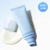 ABIB Sunscreen Tube SPF50+ PA++++ 50ml 4 Types / Brightening, Soothing, Hydrating, Moisturizing, Korean Cosmetics, Kbeauty