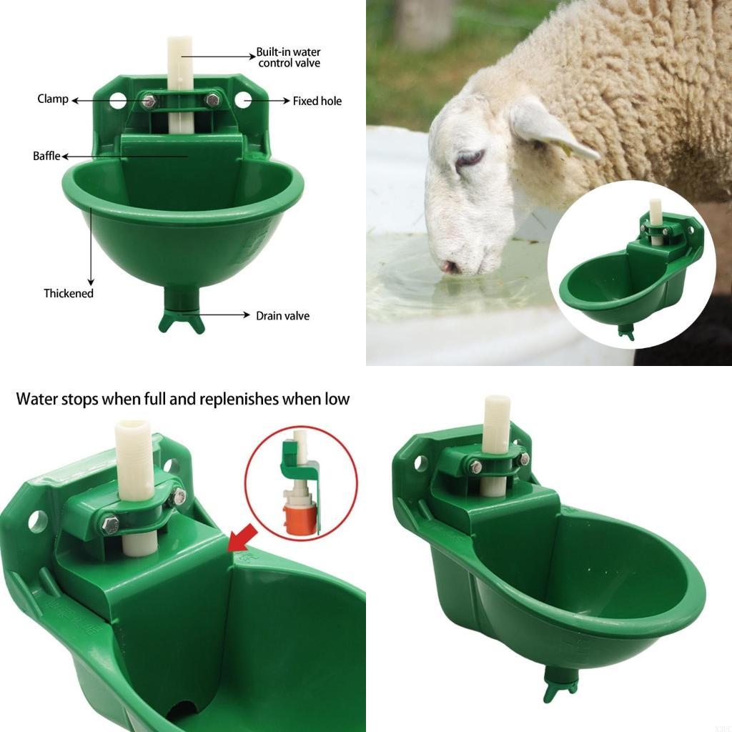 

Automatic Horse Waterer Bowl Sheep Water Dispenser for Piglets Cattle X3UC CN