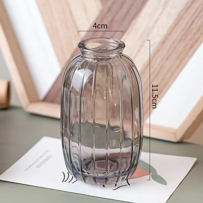 Decorative Flower Bottle Nordic Glass Vase Transparent Bud Vase Designed Hydroponic Plant Pot Living Room Decor Table Ornaments