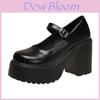 Mary Jane Shoes For Women Retro Pu Thick Heel Platform Casual Spring