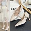 Fashion 2025 Women Silk Modern Latin Shoes Satin Cost-effective Waltz Tango Dancing Heels Closed Toe Salsa Shoes