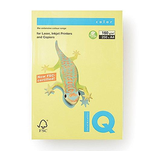 

Bio Top Color A4 size, 250 sheets, 160g/m² (Lemon), BT827