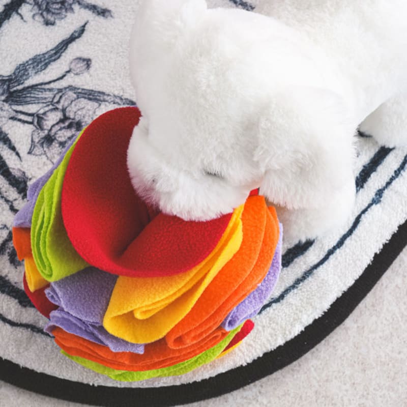 [Pet] Snack Search Nose Work Ball