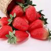 siawadeky 18-Piece Plastic Artificial Strawberry Sample Set, Food Model, Realistic Fake Strawberry Model for Photography Props, Display, Room Decor,
