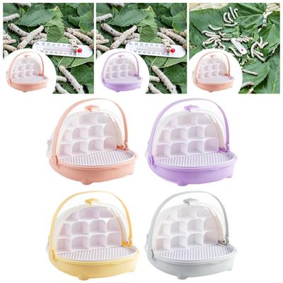 Reptiles – Terrarium pour reptiles
