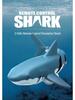 2.4G Remote Control Electric Shark Toy - Wireless Charging Water Toy for Kids