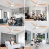 IRALAN Modern Ceiling Lamp With Fan Infinitely Adjustable Lighting Without Noise Decoration Home For Living Room Bedroom