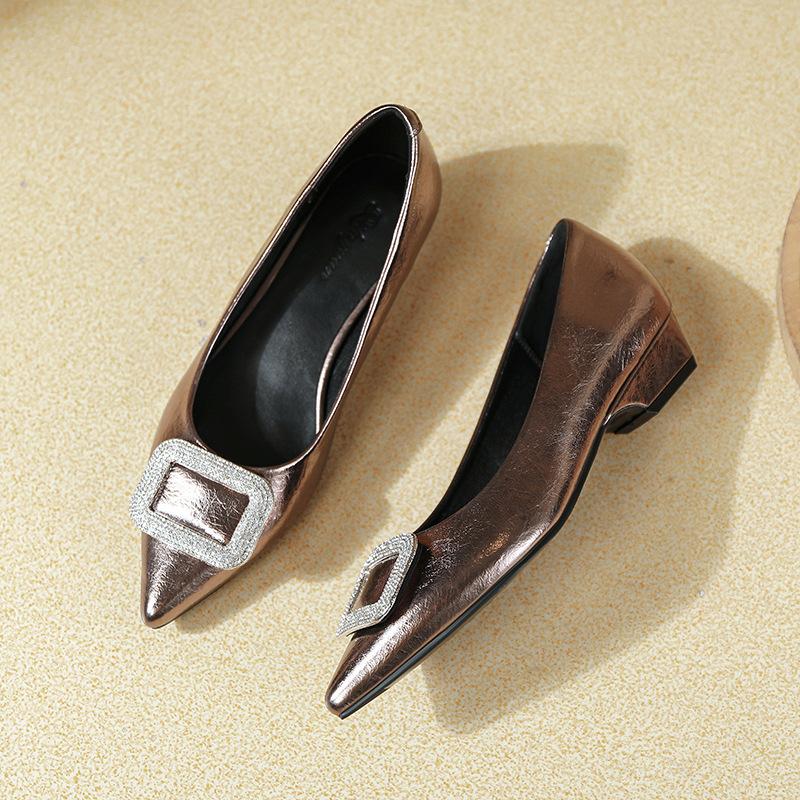 French Pointed Single Shoes Women's Thick Heel 2025 New Spring and Autumn Huizhou Women's Shoes Are Not Tired of Feet Soft Leather Shallow Low Heels