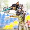 Shape Spacecraft  Dog Chew Toy Food Leakage Pet Toys