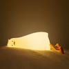 Warm Light – matches the image