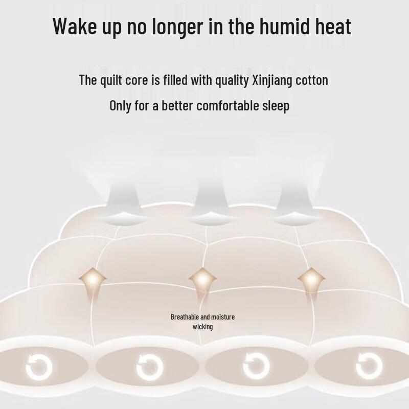 

HONGDOU Cloud-Feel All-Season Fiber Quilt