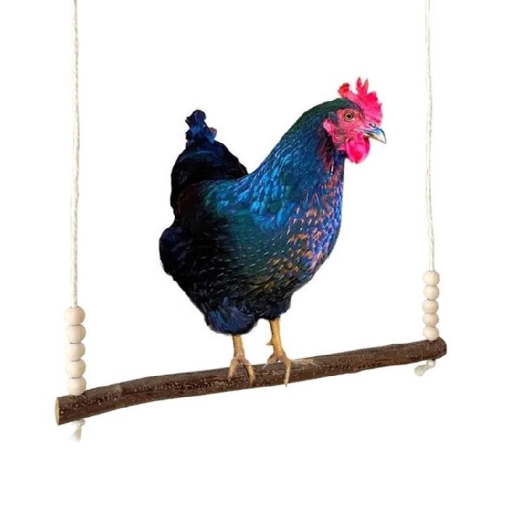 Lovebird  Parrot Budgies Perch Swing Climbing Wood Bridge Outdoor Use