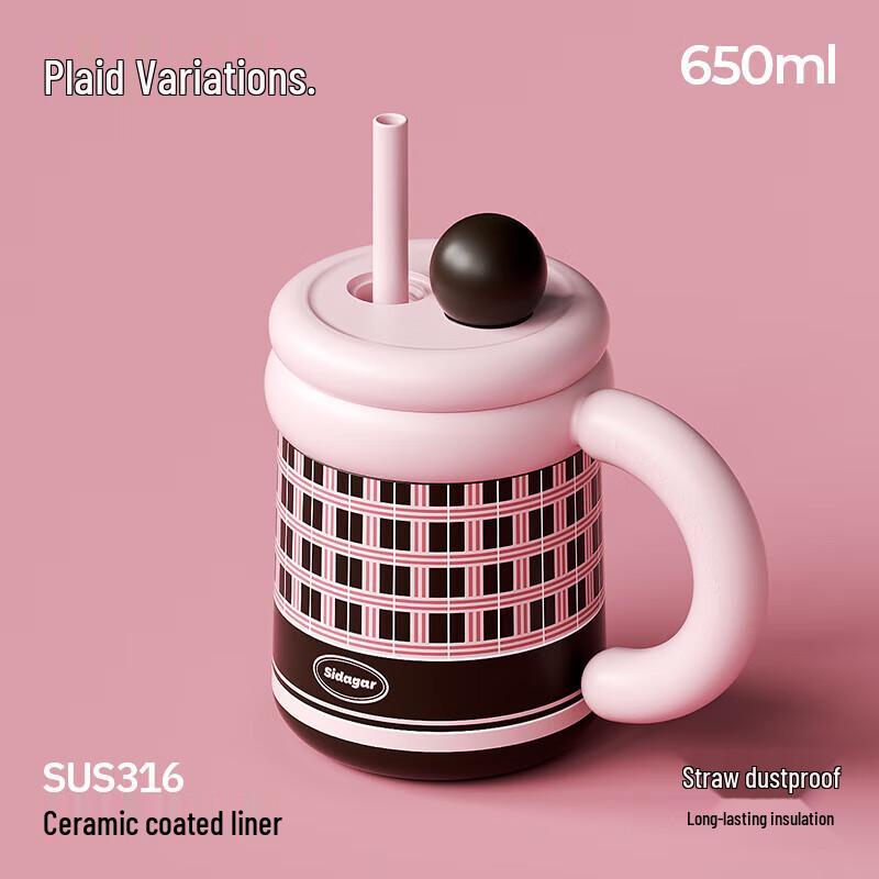 Shidajia Great Artist 650ml Insulated Straw Cup