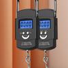 50kg Digital Hook Scale Precisions Weighing Tool Digital Scale Portables Hanging Scale Fishing Equipment
