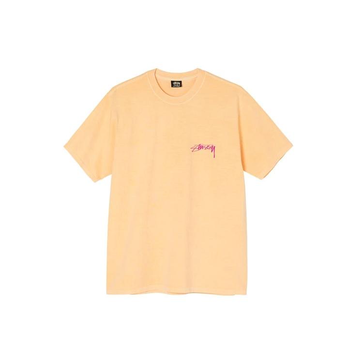 Stussy FW21 Tee Unisex 1904752
