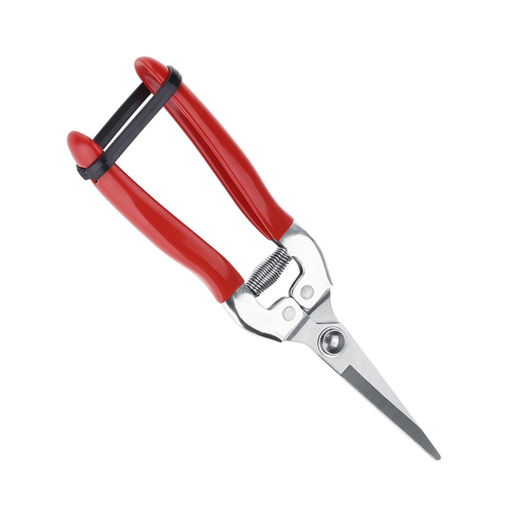 1Pc Sturdy Fruit Tree Bonsai Gardening Pruning Shear Garden Scissors Pruner Tool Straight Blade