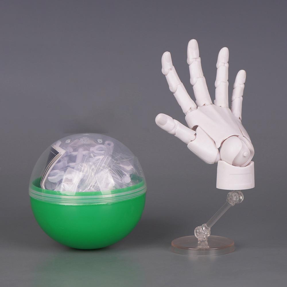 1:2 Scale Human Hand Model Mini Size Twisted Egg Design Palm Model Movable Joints With Posable Fingers Movable Finger Joints