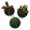 3pcs Artificial Succulent Bonsai Plants Charming Desktop Simulation Succulent Plant Set Home Desk Office Wedding Table Decor