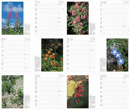Calendar 2026 FLOWER CALENDAR Flower Calendar (Monthly Diary/Diary/Ring/Flower) (Yamakei Calendar 2026)