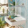 Transparent Parrot Bathtub Splash Proof Bird Birdbath Feeder Bird Bath Cage  Pet Supplies
