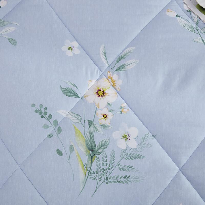 Donner Home Textiles Classic Soft Fiber Quilt