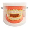 18K Gold-Plated Zircon-Inlaid Vampire Dentures - Hip-Hop Jewelry Accessory