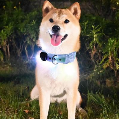 Köpek – Köpek Tasmaları ve Tasma Kayışları