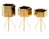 Doniczka Sashi Gold 16,5 Cm