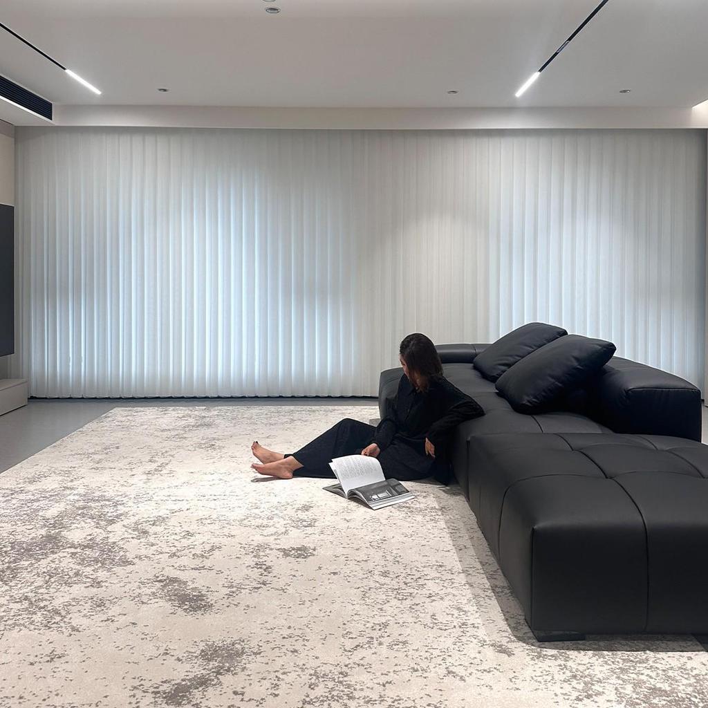 Nordic High-End Waterproof, Stain-Resistant Antibacterial Luxury Living Room Carpet