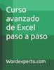The Curso Avanzado De Excel Paso a Paso Book