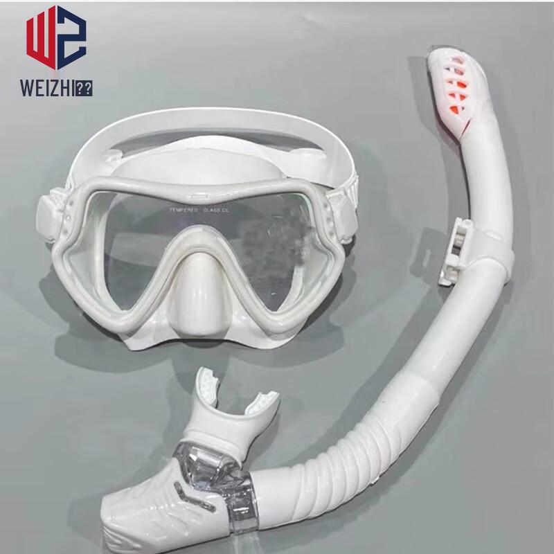 Diving & Snorkeling Mask