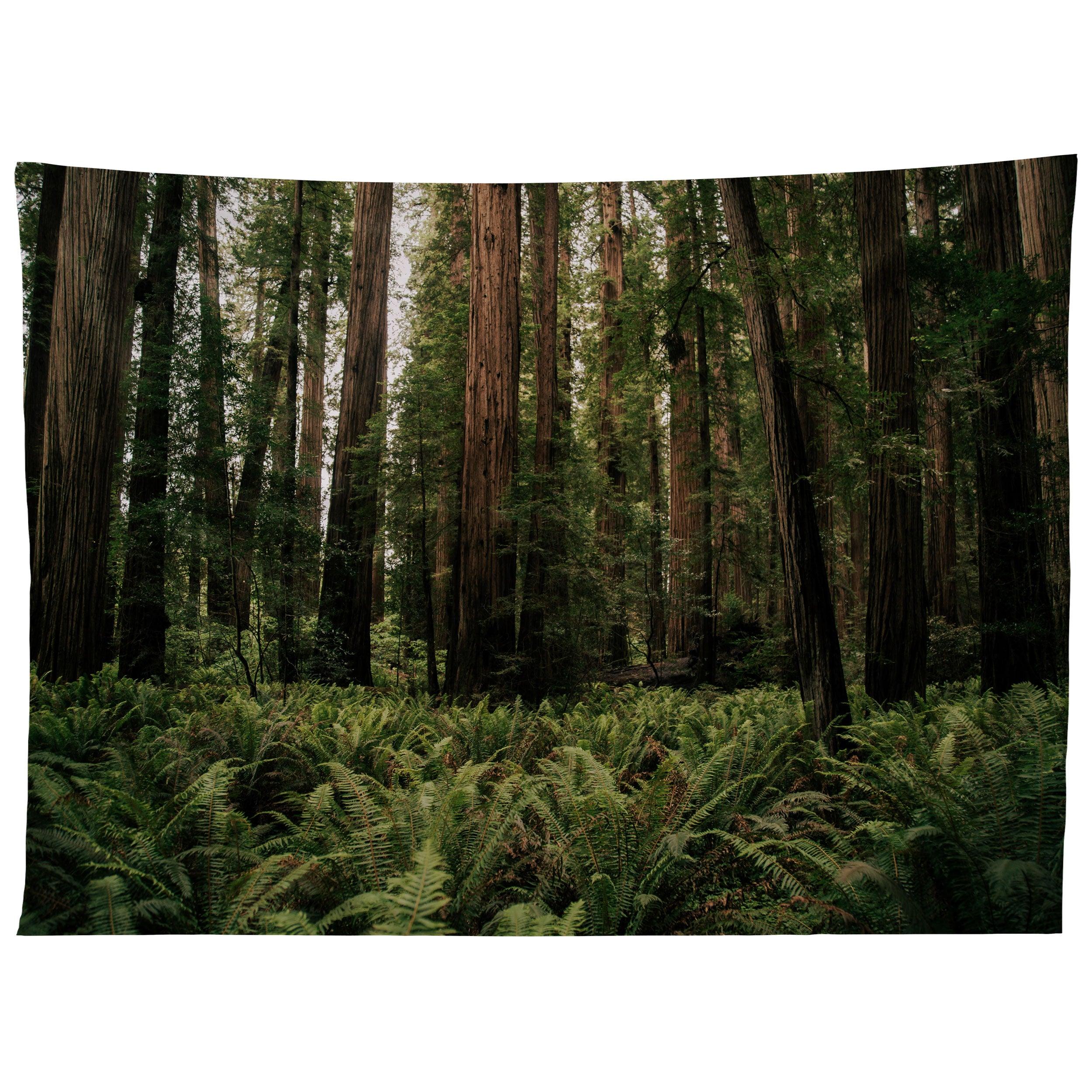 REDWOOD FOREST tapestry 75x100
