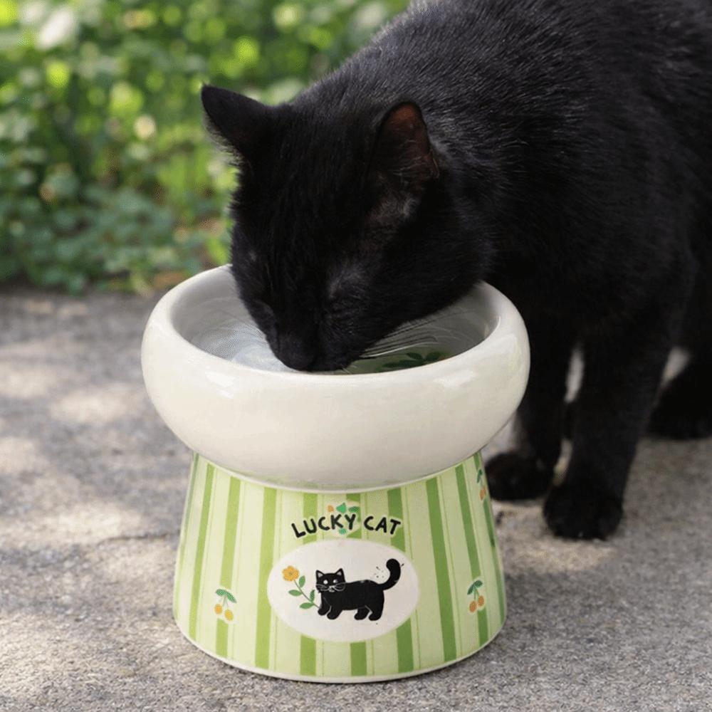 High Foot Ceramic Cat Bowl Anti-Slip Base Wide Mouth Pet Drinking Bowl Anti-Rollover Prevents Spills Dog Food Feeder Multi-Use