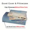 Airplane Themed Duvet Cover No Filling 3PCS Ariplane Bedding Sets Queen Size Realistic Visual Style For Dormitory Room Decor