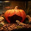Fish Tank Landscaping Ornament Halloween Pumpkin Aquarium Hideout, Ghost Face Betta Reptile Accessories Hide Cave, Decorative Shrimp Hideaway for