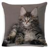 Black Cat Cushion Cover Cotton Linen Square Cat Pillow Case Decorative Pillow Cover for Home Car Sofa Decora Pillowcase Cojines