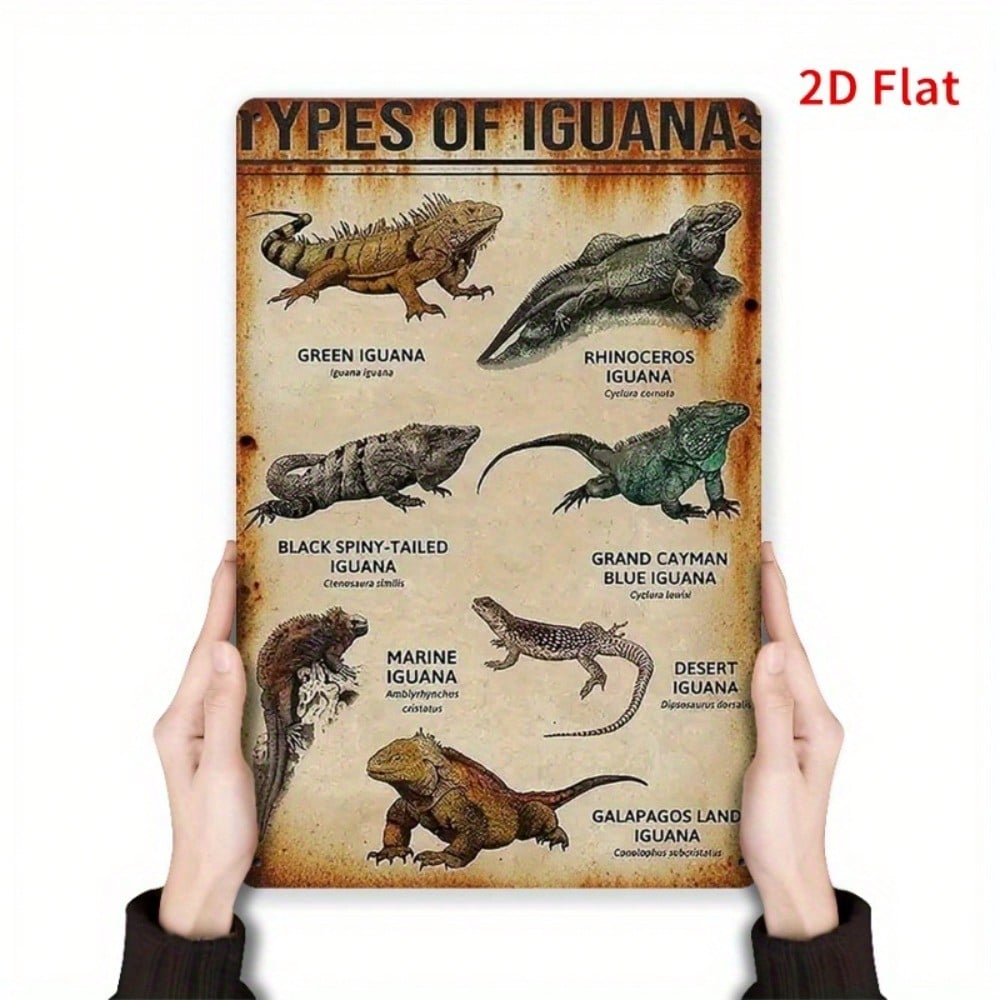 Vintage Metal Iguana Wall Decor Flat Reptile Art Sign Home Office Bar Cafe Retro Lizard 20x30 разноцветный