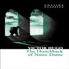 The Hunchback of NotreDame by Victor Hugo Paperback Book 9780007902132