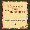 Tarzan the Terrible by Edgar Rice Burroughs Hardback Book 9781421807126