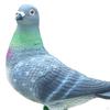 Resin Bird Garden Statues Simulation Animal Ornaments Imitation Model Miniatures