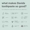 Davids Whitening Toothpaste Spearmint 149g Natural Ingredients Oral Care