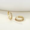 14K Gold Single Row Diamond Earrings for Women with Circle Ear Clips and Buckles - Light Luxury, High-End Design