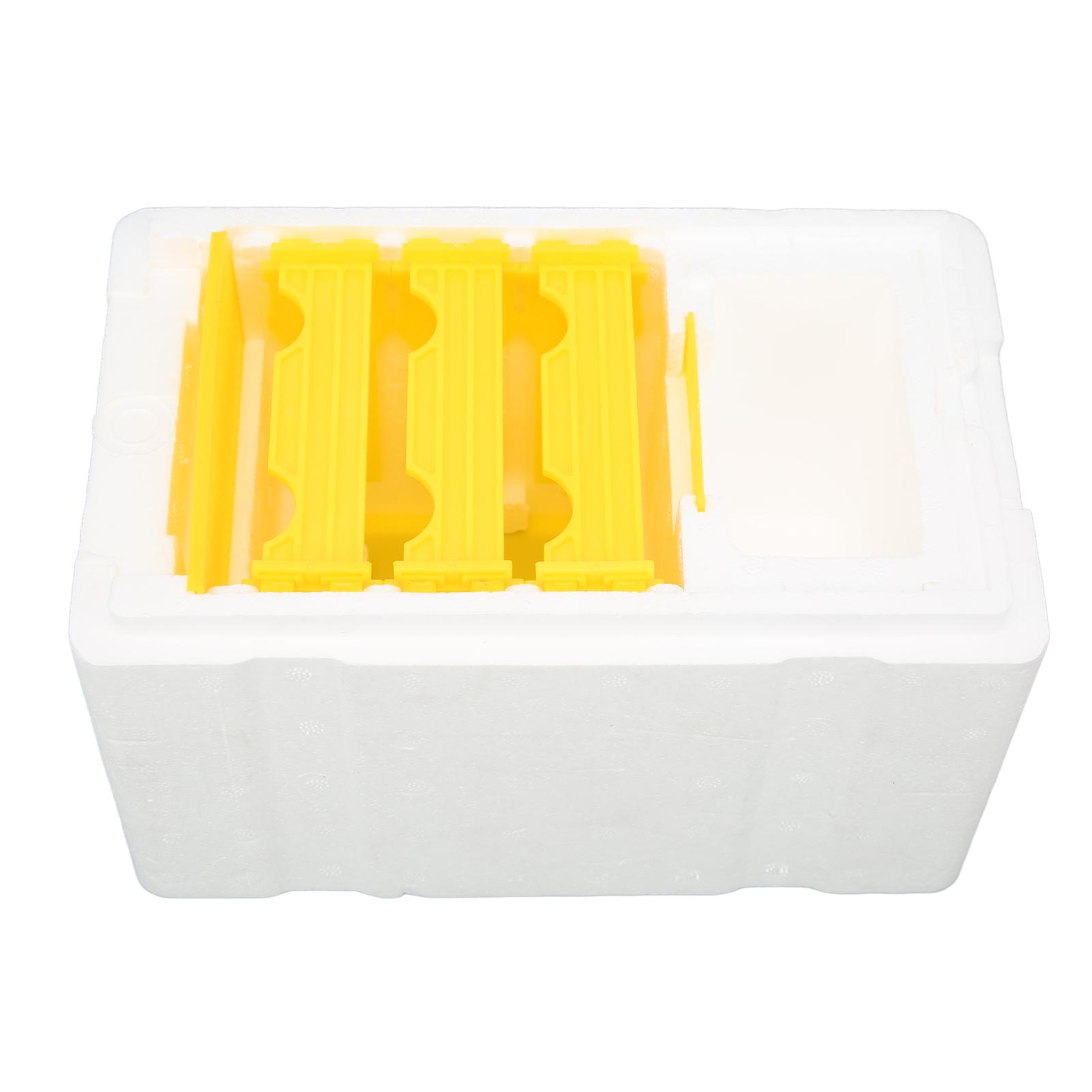 Foam Queen Box Bee Mating Foam Beehive Queen Cage Mini Queen Rearing Boxes for Beekeeping