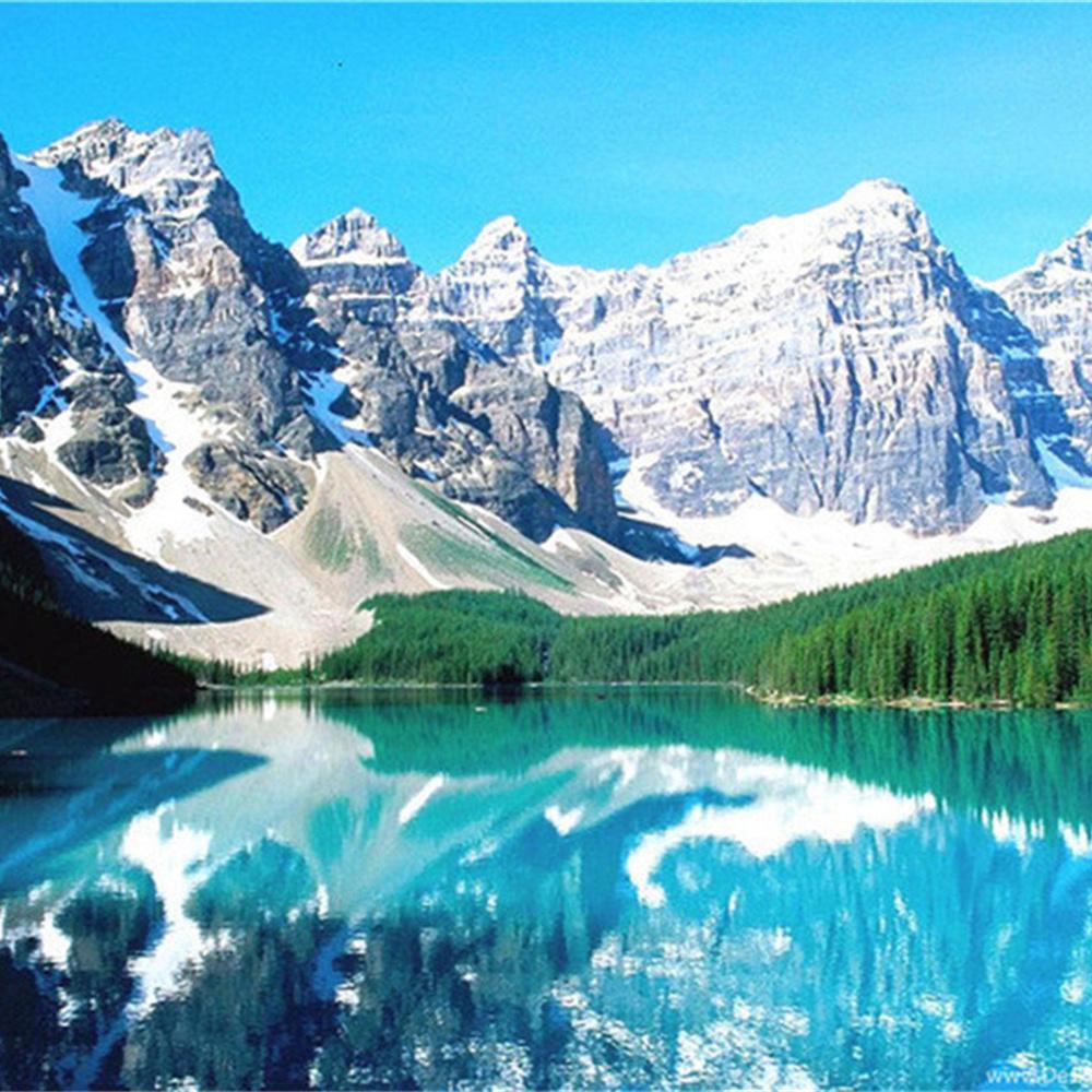 MomoArt Diamond Painting Blumen Vollrunde Bohrer Diamantmosaik Berg 5D DIY Kunst Perlenstickerei Landschaft Heimdekoration