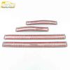 Door Sill & Bumper Anti-Scratch Trim for Dongfeng Fengshen AX7