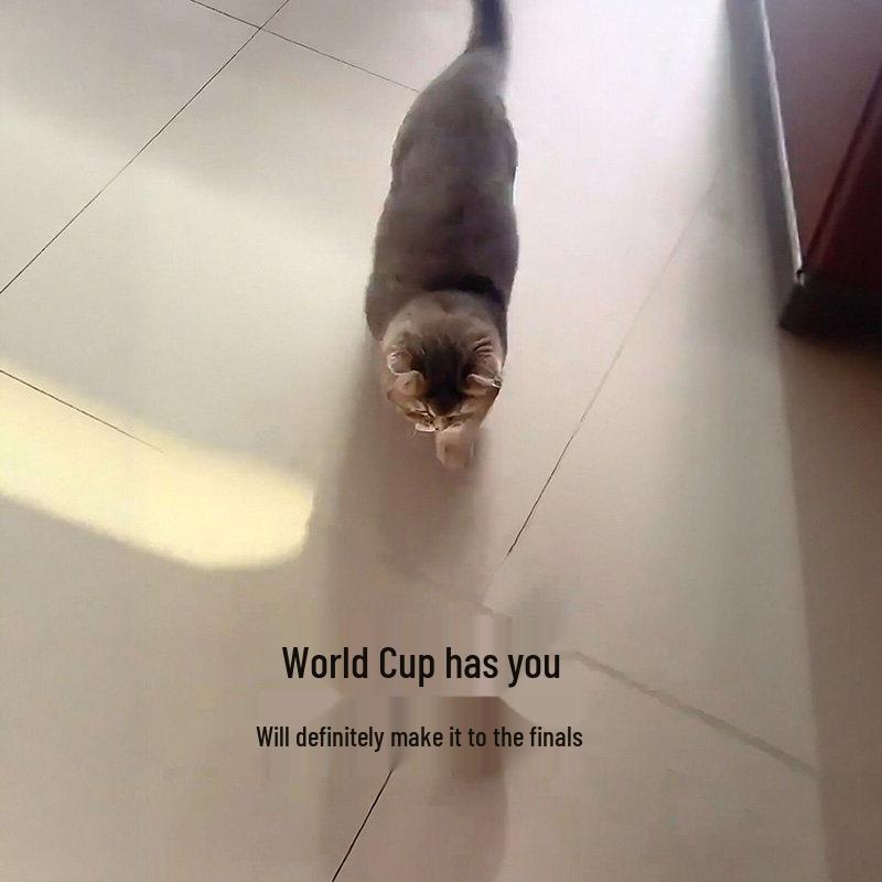 Weltcup Sprungkatze Neckspielzeug - Selbstunterhaltender Beißball für Katzen
