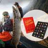 24 Days Fishing Lures Set Christmas Countdown Calendar Christmas Advent Calendar Xmas Fishing Gift for Fisherman