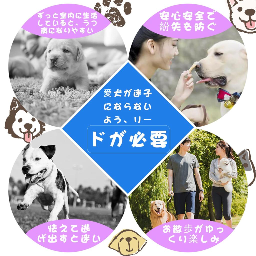 SUSWIM Durable Dog 150cm x with Sponge Handle and Highly Visible Luminous Suitable for Medium and Large Bonus Hognse Included Leash, 1.2cm,